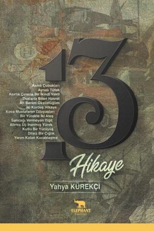 13 Hikaye