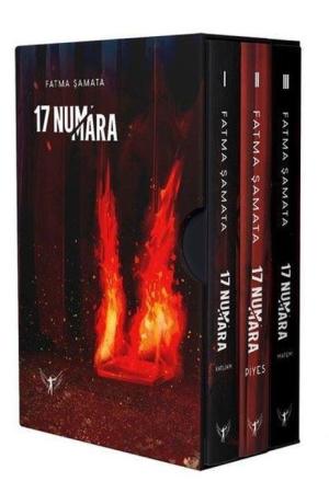 17 Numara Serisi (Ciltli Kutulu Set)