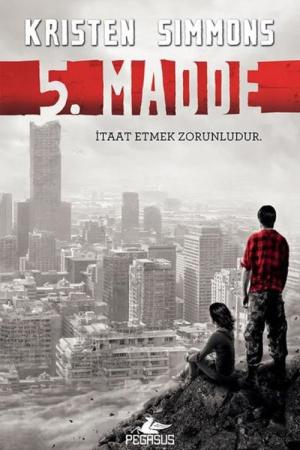 5. Madde