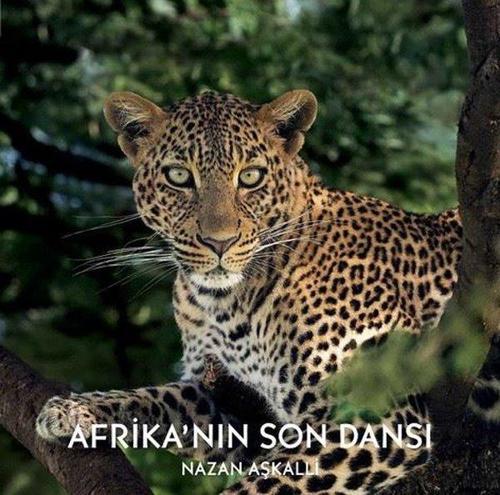 Afrika'nın Son Dansı