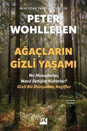 Ağaçların Gizli Yaşamı Ne Hissederler, Nasıl İletişim Kurarlar ? Gizli Bir Dünyadan Keşifler