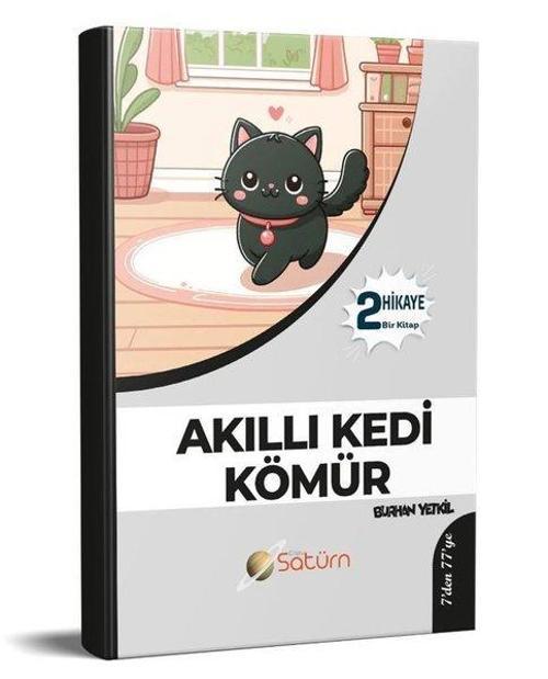 Akıllı Kedi Kömür