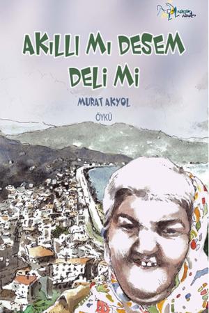 Akıllı mı Desem Deli mi?