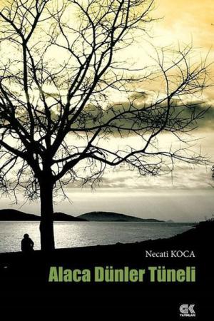 Alaca Dünler Tüneli