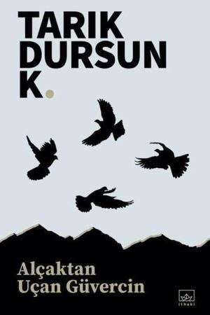 Alçaktan Uçan Güvercin