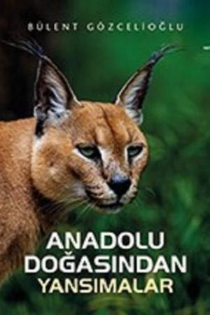 Anadolu Doğasından Yansımalar (Karton Kapak)