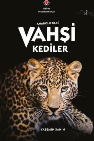 Anadolu'daki Vahşi Kediler