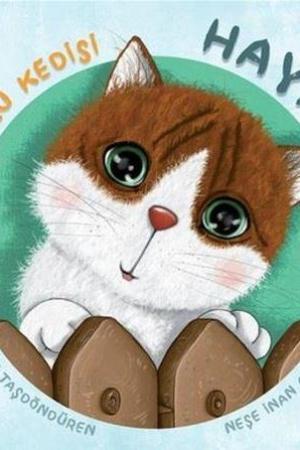Anaokulu Kedisi Hayat