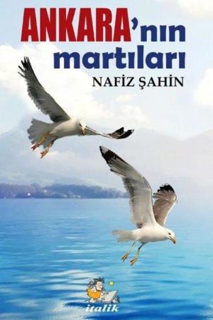 Ankara'nın Martıları