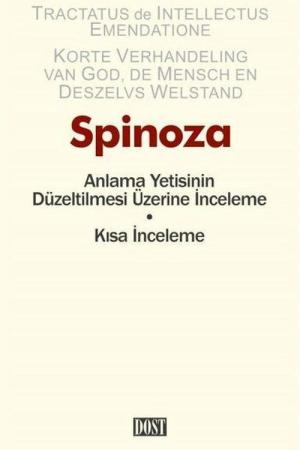 Anlama Yetisinin Düzeltilmesi Üzerine İnceleme - Kısa İnceleme