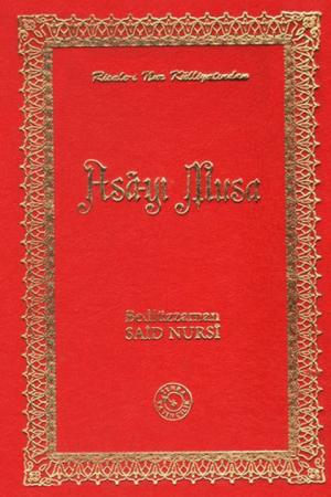 Asa-yı Musa (14x20)