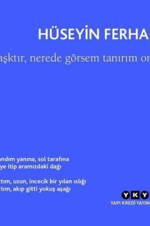 Aşktır, Nerede Görsem Tanırım Onu