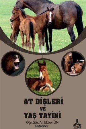 At Dişleri ve Yaş Tayini