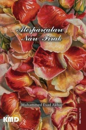 Ateşparçaları Narı Firak