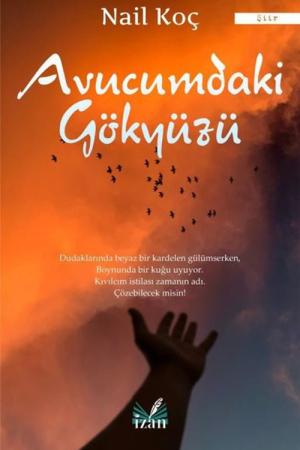 Avucumdaki Gökyüzü