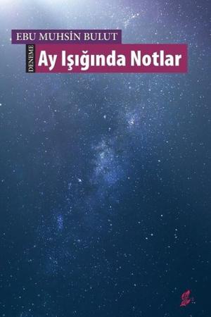 Ay Işığında Notlar