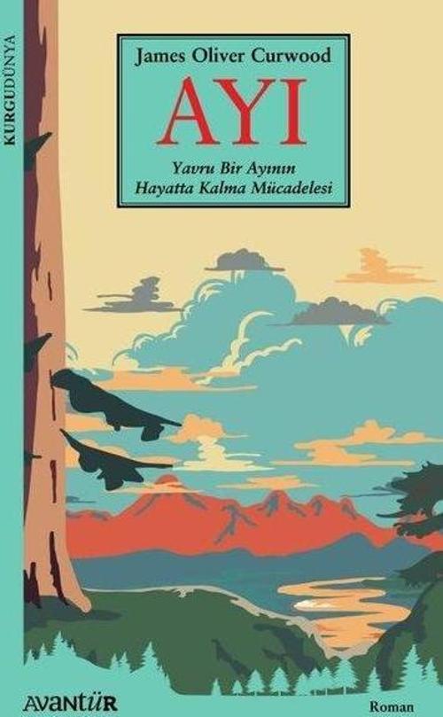 Ayı Yavru Bir Ayının Hayatta Kalma Mücadelesi