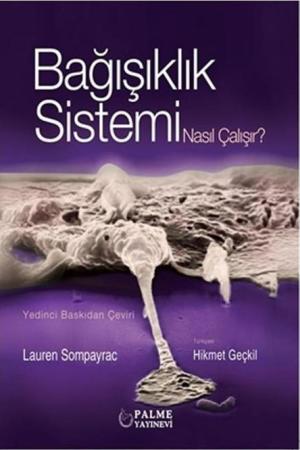 Bağışıklık Sistemi Nasıl Çalışır?