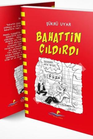 Bahattin Çıldırdı