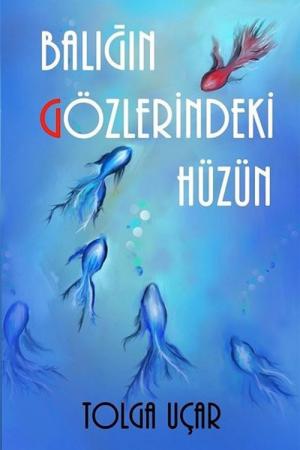 Balığın Gözlerindeki Hüzün
