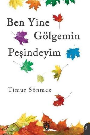 Ben Yine Gölgemin Peşindeyim