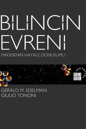 Bilincin Evreni Maddenin Hayale Dönüşümü