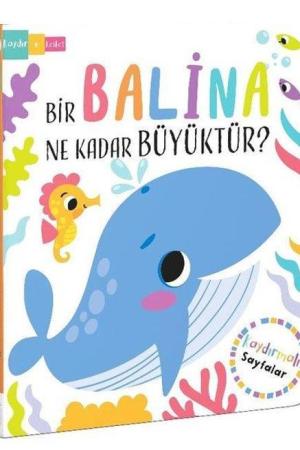 Bir Balina Ne Kadar Büyüktür? – Kaydır + Keşfet
