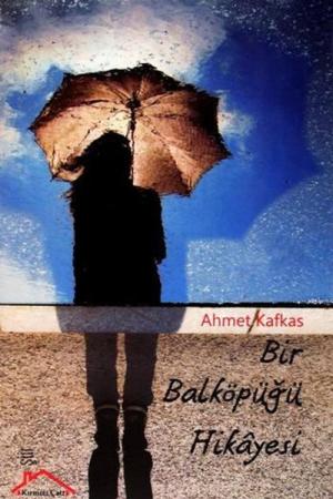 Bir Balköpüğü Hikayesi