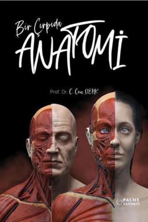 Bir Çırpıda Anatomi