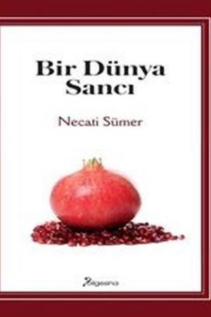Bir Dünya Sancı