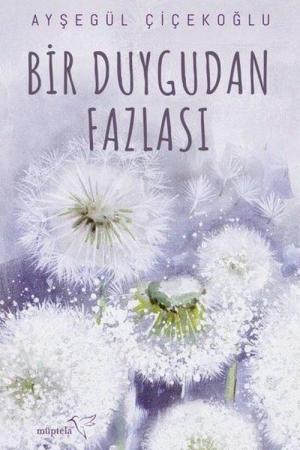 Bir Duygudan Fazlası