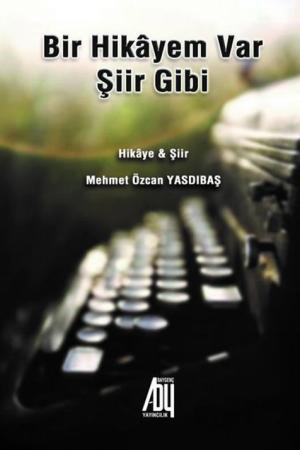 Bir Hikayem Var şiir Gibi