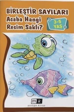 Birleştir Sayıları Acaba Hangi Resim Saklı ? (3-5 Yaş)