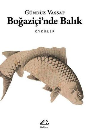 Boğaziçi'nde Balık