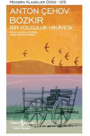 Bozkır - Bir Yolculuk Hikayesi (Ciltli)