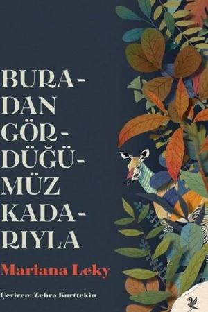 Buradan Gördüğümüz Kadarıyla