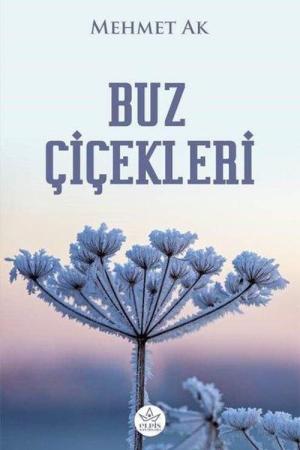 Buz Çiçekleri