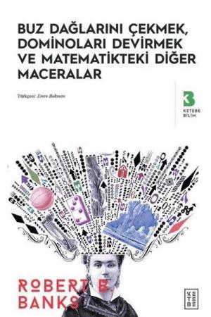 Buz Dağlarını Çekmek, Dominoları Devirmek ve Matematikteki Diğer Maceralar
