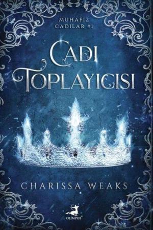 Cadı Toplayıcısı