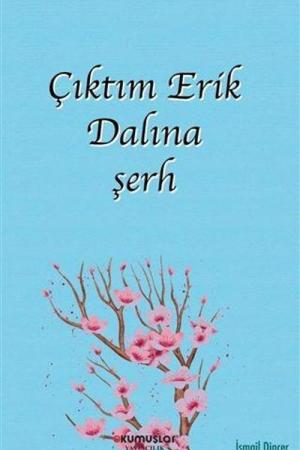 Çıktım Erik Dalına Şerh
