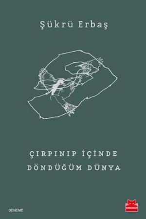 Çırpınıp İçinde Döndüğüm Dünya