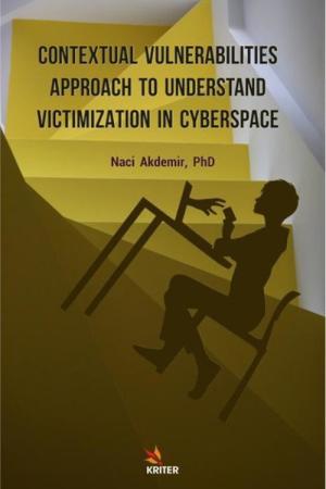 Contextual Vulnerabilities Approach To Understand Victimization In Cyberspace
