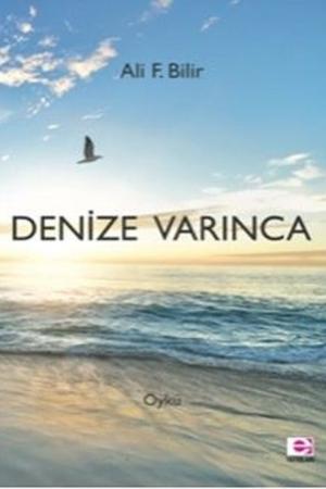 Denize Varınca