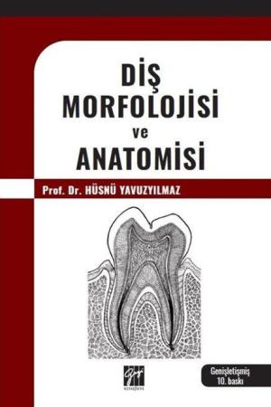 Diş Morfolojisi ve Anatomisi