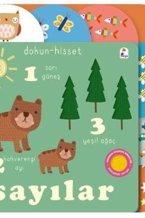 Dokun - Hisset / Sayılar