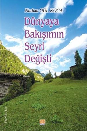 Dünyaya Bakışımın Seyri Değişti
