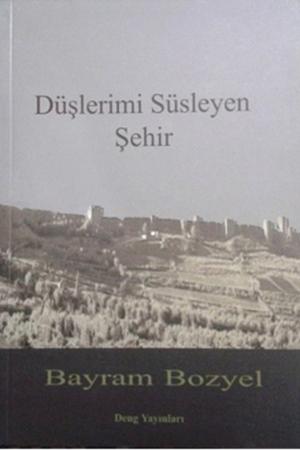 Düşerimi Süsleyen Şehir
