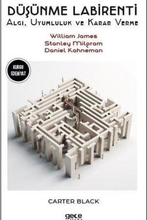 Düşünme Labirentleri / Algı, Uyumluluk ve Karar Verme