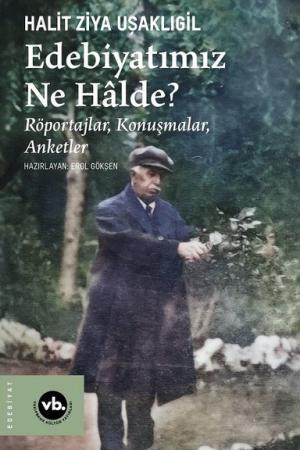 Edebiyatımız Ne Halde? Röportajlar, Konuşmalar, Anketler