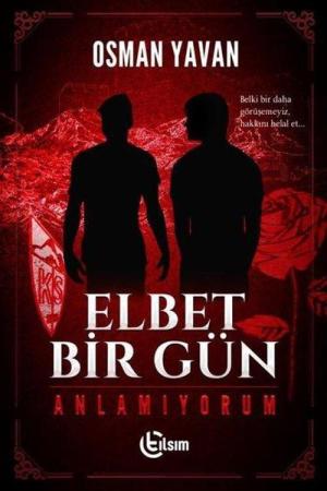 Elbet Bir Gün Anlamıyorum
